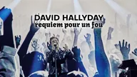 David Hallyday, requiem pour un fou