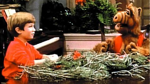 Alf
