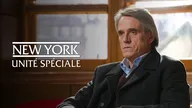 New York Unité Spéciale