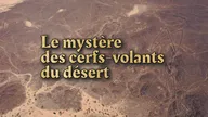 Le mystère des cerfs-volants du désert