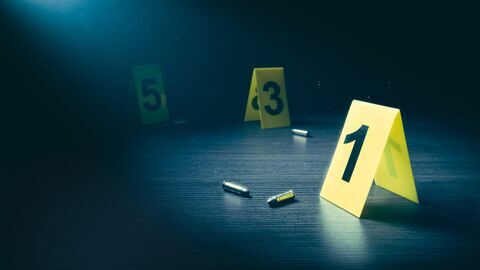Crimes