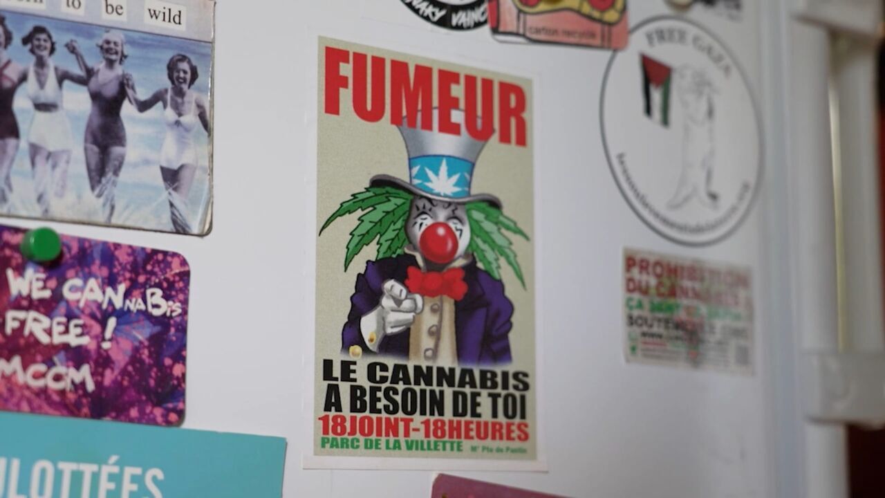 Cannabis, un paradoxe français