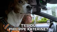 T'es où Philippe Katerine ?