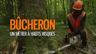 Bûcheron : un métier à hauts risques