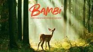 Bambi, l'histoire d'une vie dans les bois