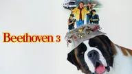 Beethoven 3